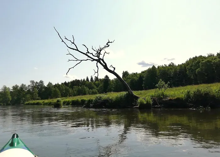 Art House Apartment Reszel